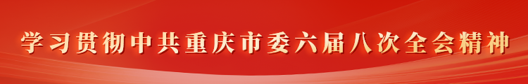 学习贯彻中共重庆市委六届八次全会精神