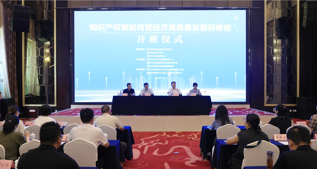 赋能民企创新发展 重庆搭平台解锁知识产权变现密码1.png